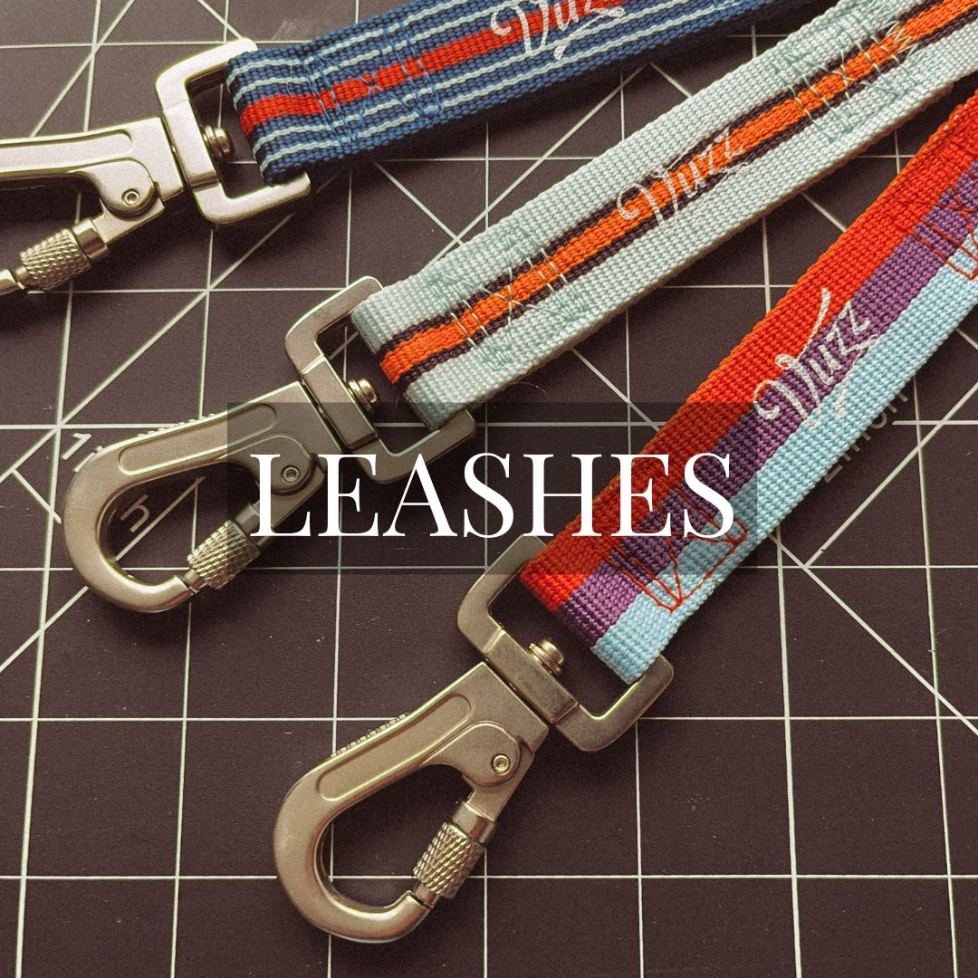 Dog Leashes