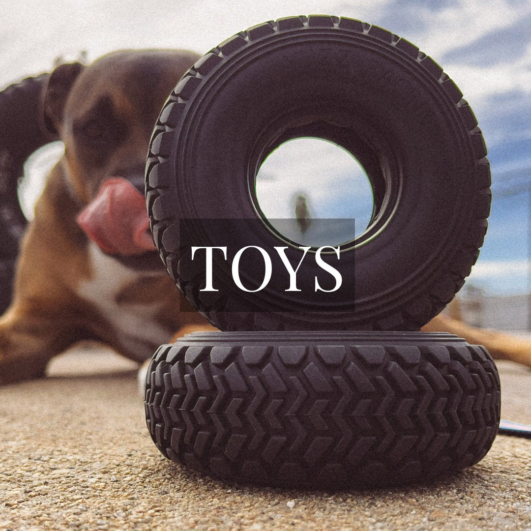 Dog in background licking his chops with Vuzz rally tire dog toy in the foreground