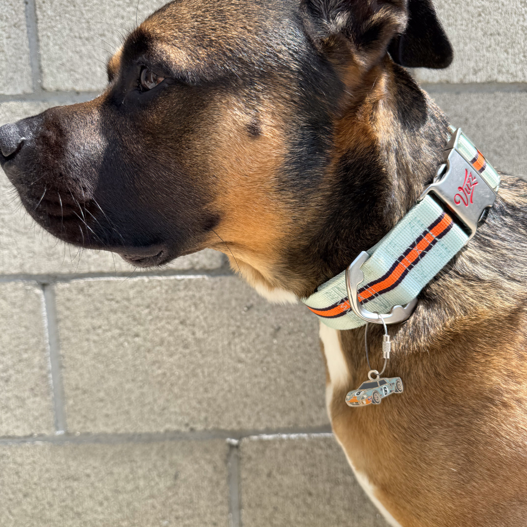 GT40 Dog ID Tag
