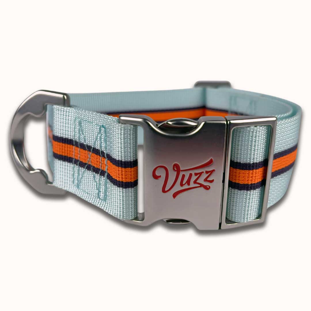 GT Collar