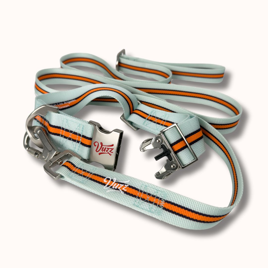 GT Collar + Leash Set