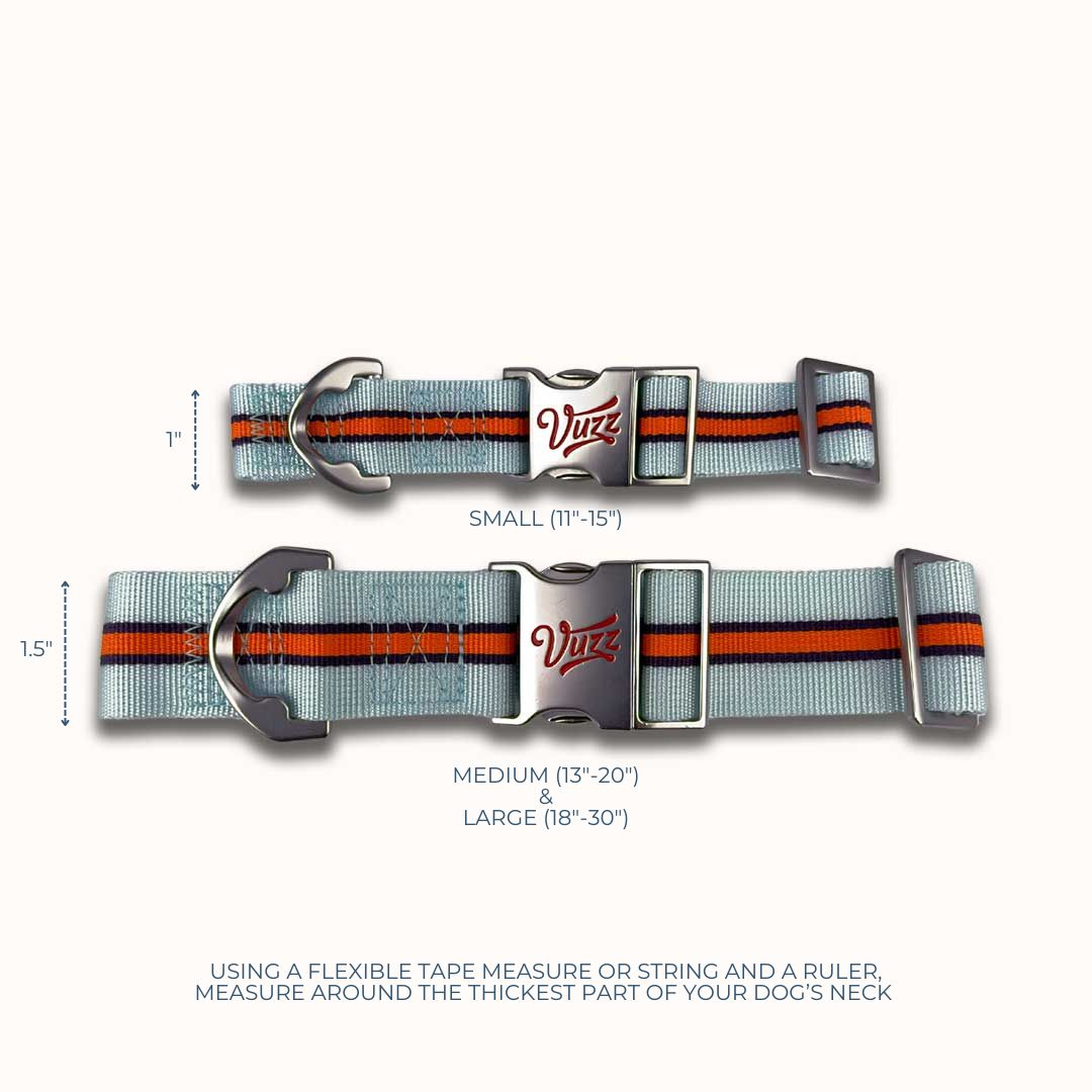 GT Collar