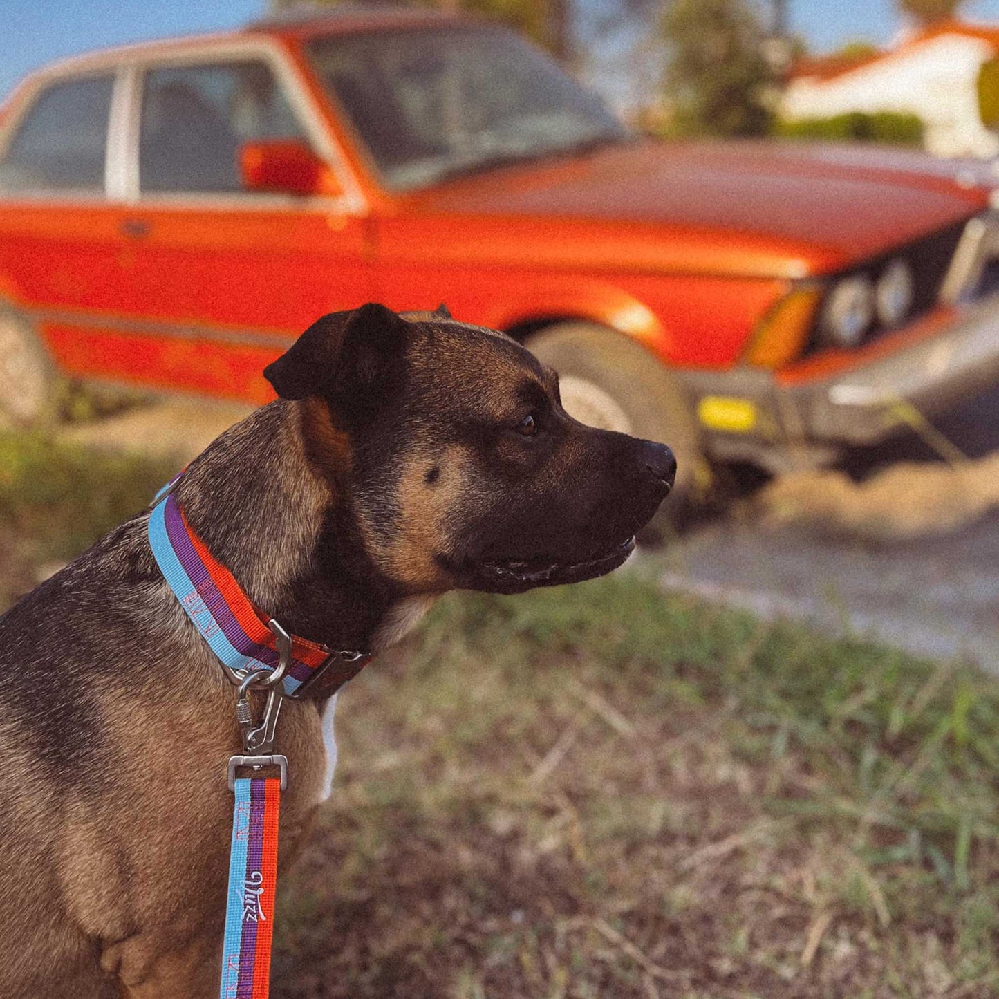 Quintessential Collar - OG Motorsport - vuzz.co