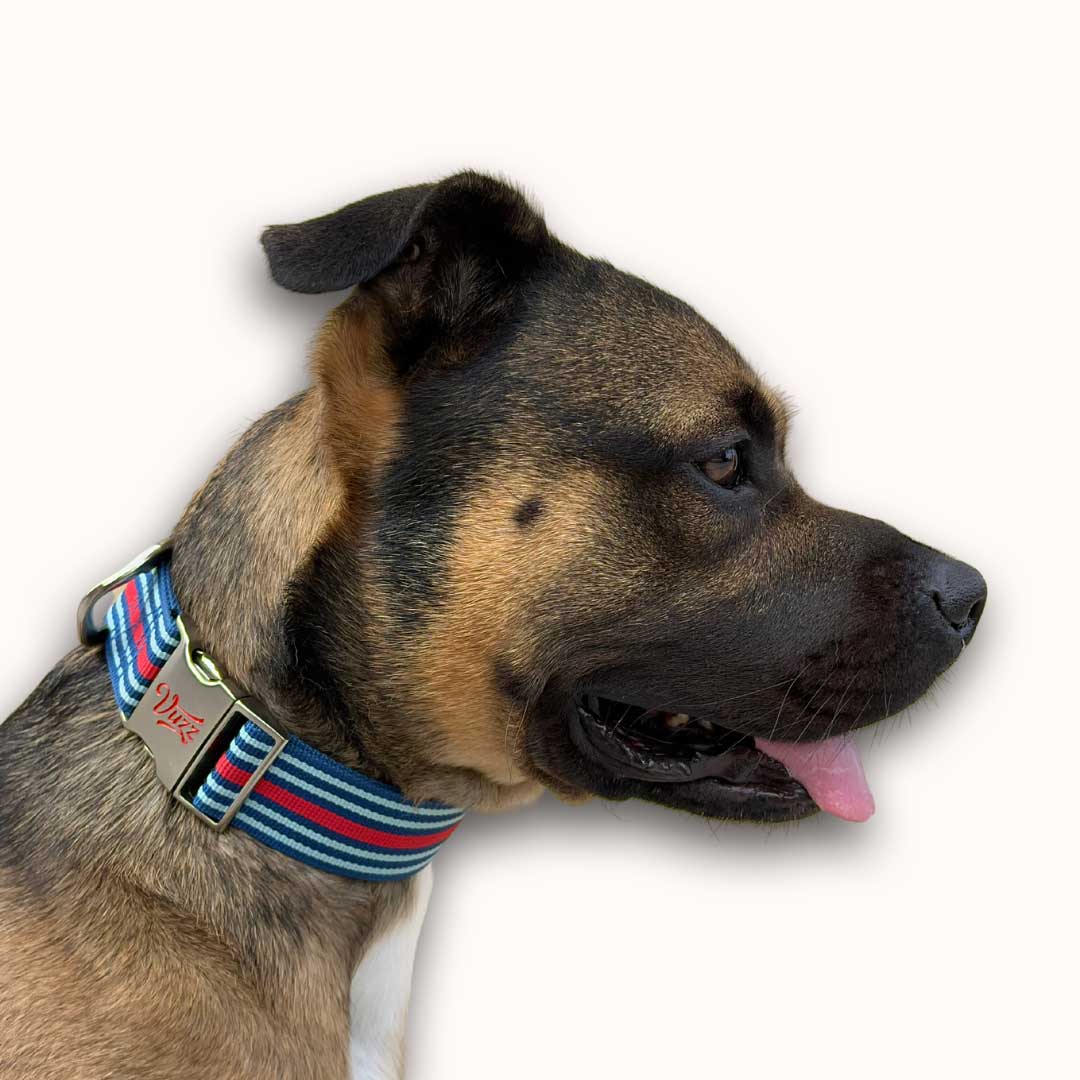 Delta Collar