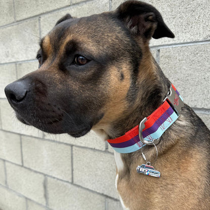 3.0 CSL Dog ID Tag