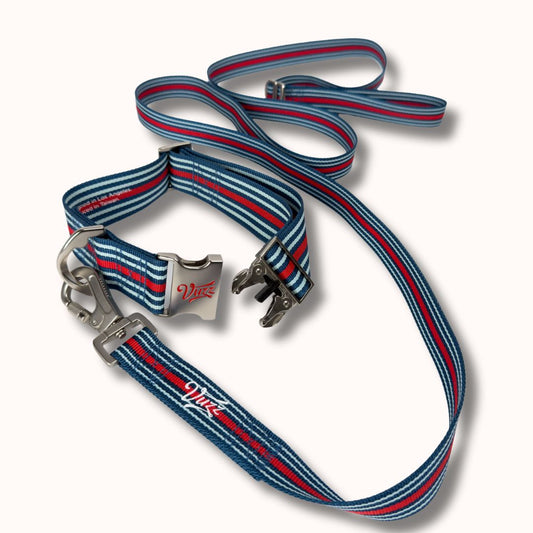 Delta Collar + Leash Set