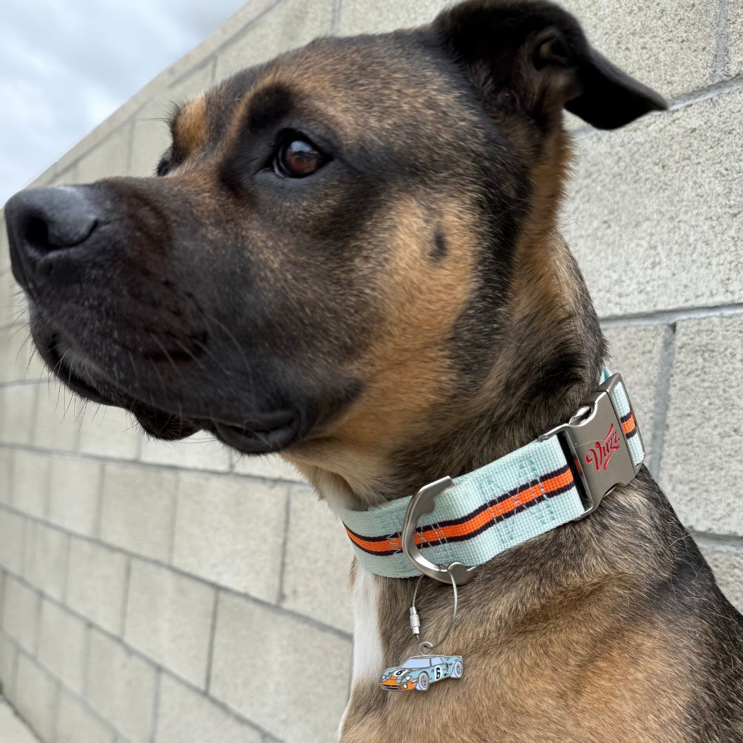 GT40 Dog ID Tag