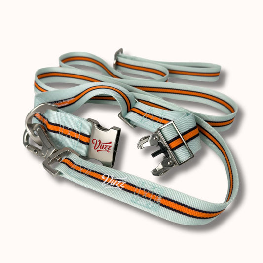 GT Collar + Leash Set